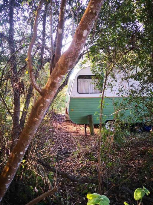 Soul Forest Nature Retreat With Hot Tub *