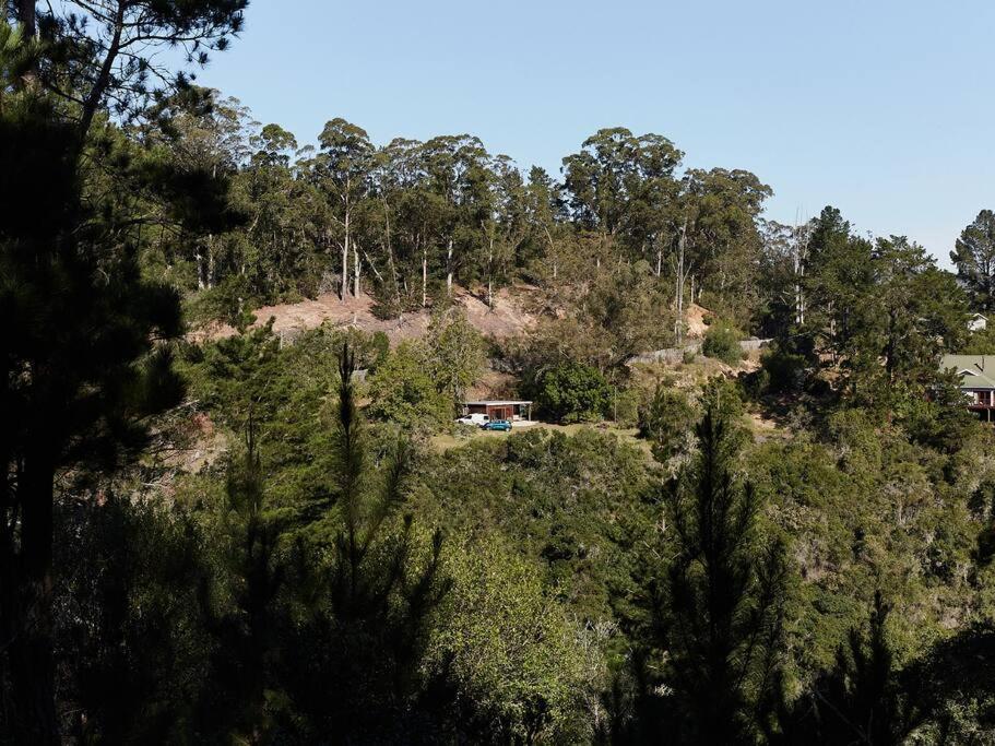 Holiday home Soul Forest Nature Retreat With Hot Tub